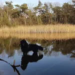 De Heidestroper