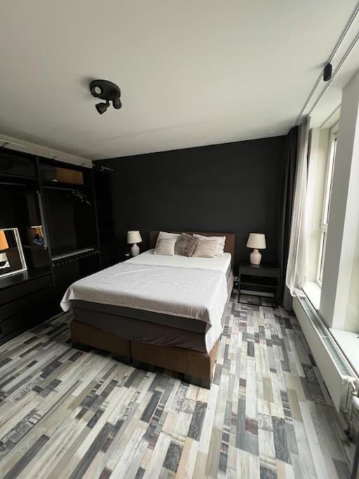 Modern House With 3 Bedrooms