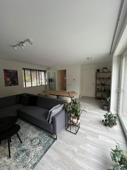 Modern House With 3 Bedrooms