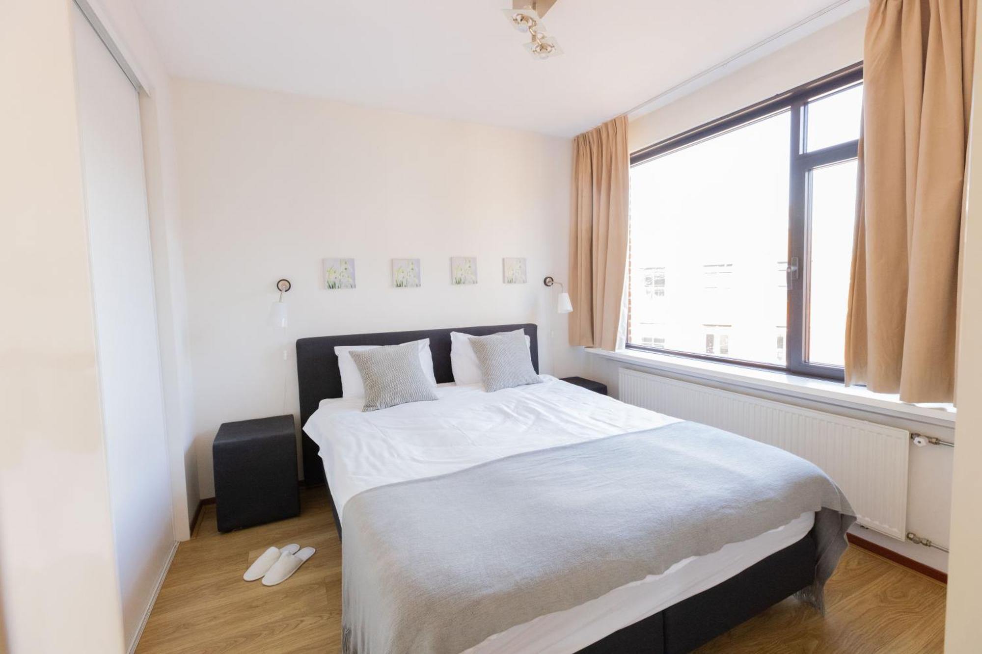 Hermanus Boexstraat Apartment *