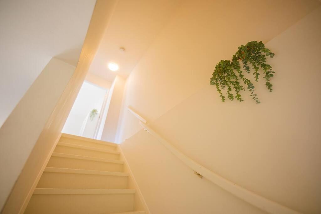 Lovely 3 Bedroom In 65m2 - Sd23n Appartement *