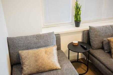 Stylish 50m2 Two-bedroom - Sd23k * Eindhoven
