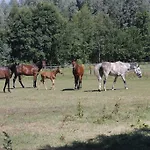 Slapen Op Gennep