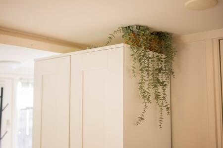 Apartment Peaceful 2 Bedroom - Ts307b *