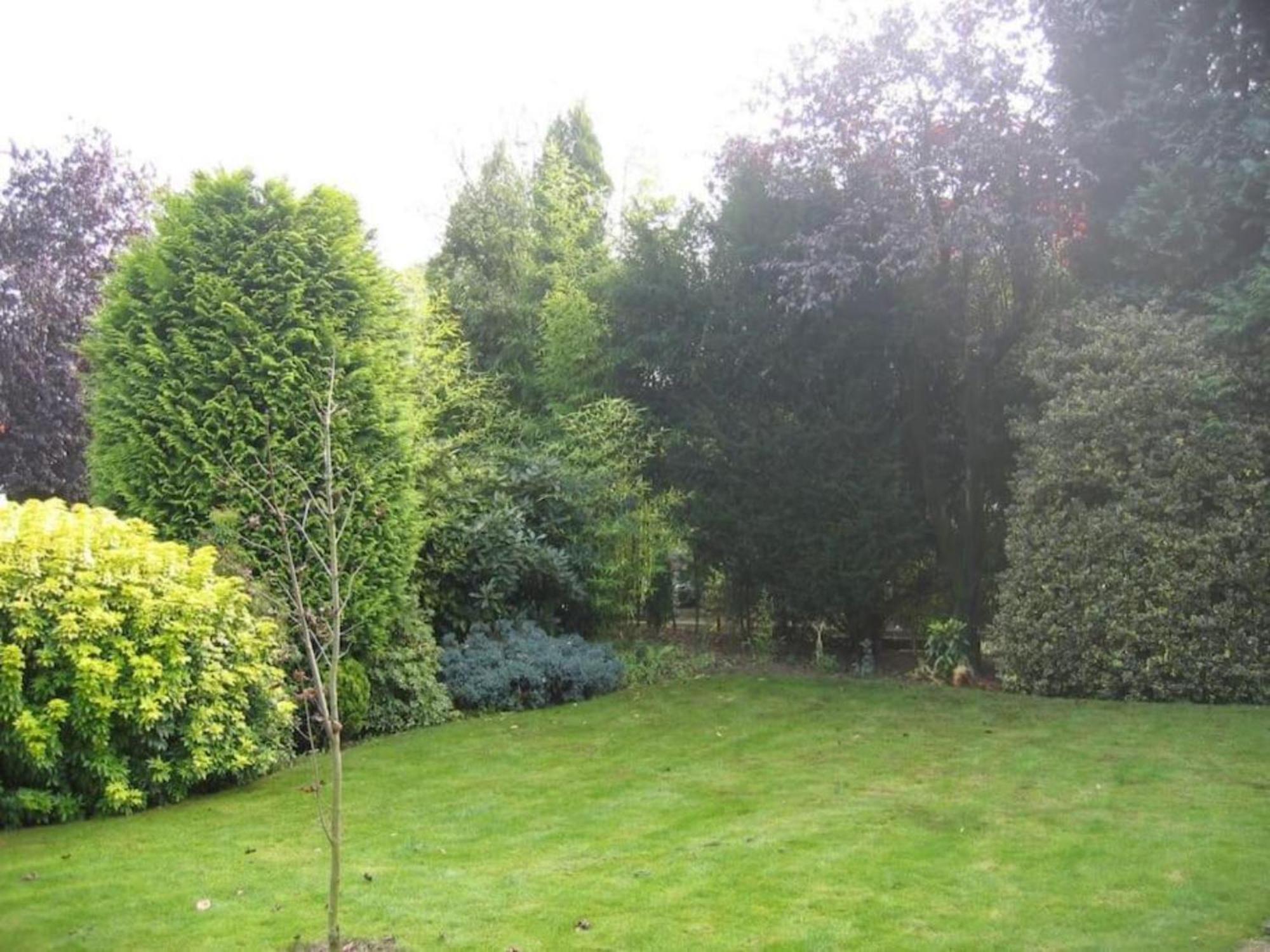 Left Garden In Near Centre And Tue *